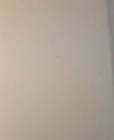 Interior Exterior Painting Project Video 06